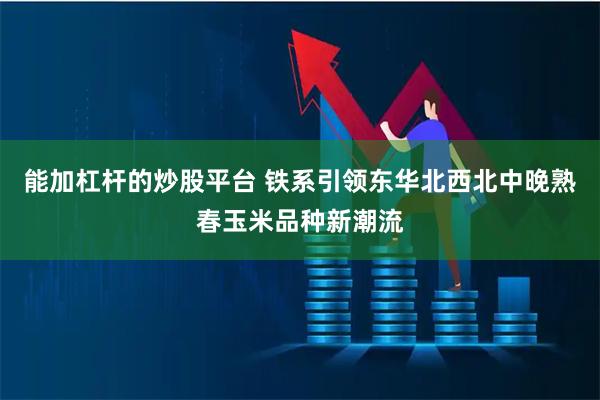 能加杠杆的炒股平台 铁系引领东华北西北中晚熟春玉米品种新潮流