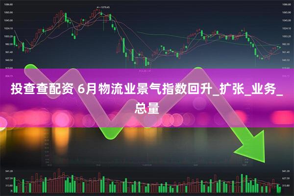 投查查配资 6月物流业景气指数回升_扩张_业务_总量
