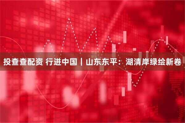 投查查配资 行进中国｜山东东平：湖清岸绿绘新卷